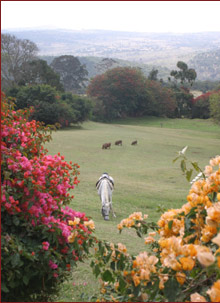 The Queen Elizabeth Luxury Safari
